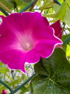 090826_105001.jpg