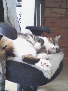 090907_124601.jpg