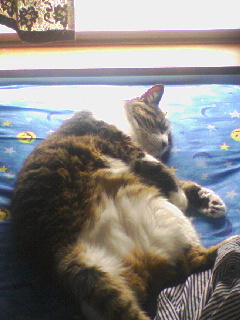 090914_094401.jpg