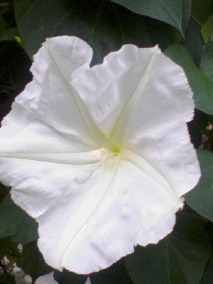 090920_174001.jpg