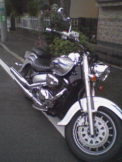 091003_172801.jpg