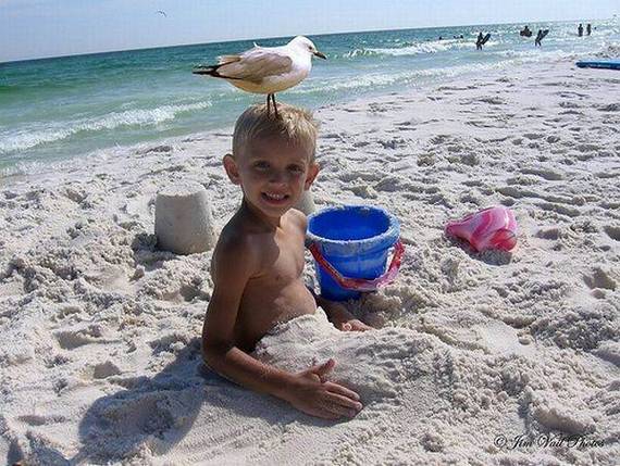 funny-summer54.jpg