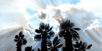 Summer Sky